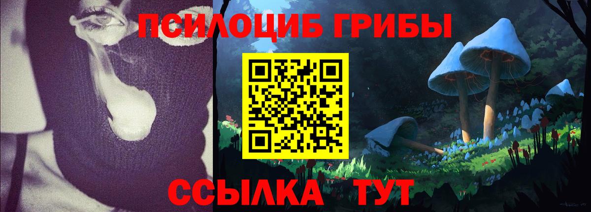 Галлюциногенные грибы Psilocybe  Вход с VPN  Саяногорск  Псилоцибиновые грибы MAGIC MUSHROOMS 