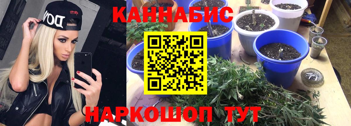 МАРИХУАНА планчик  Вход с VPN  Саяногорск  Шишки марихуана индика 
